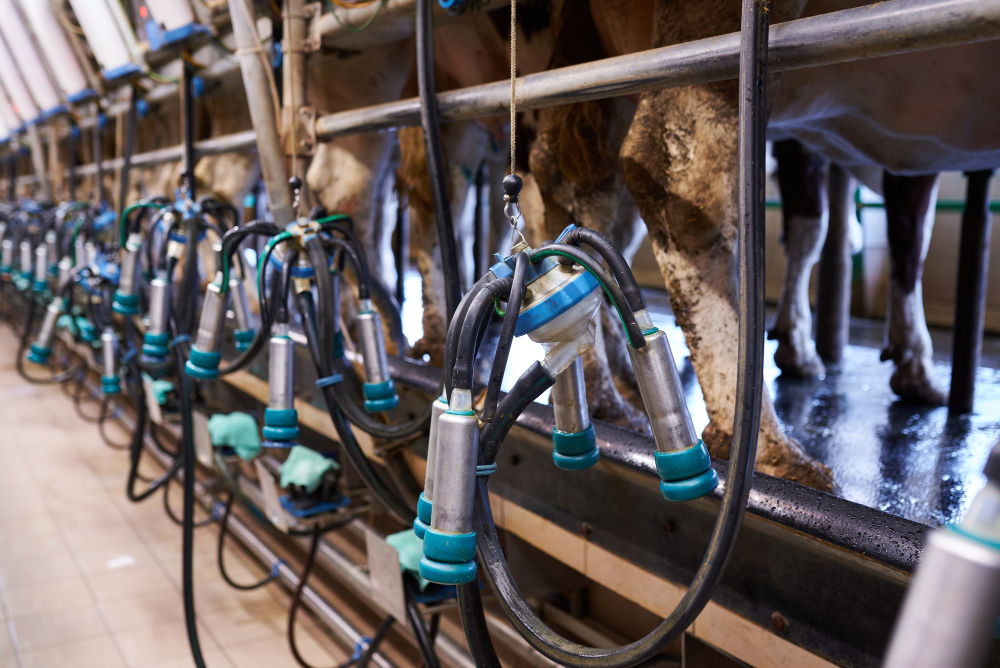 Automated milking equipment